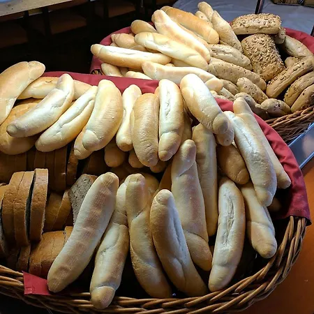 酒店 Skalsky Dvur 3*